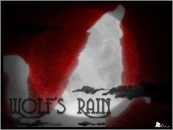 napis, Wolfs Rain, wilk